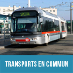 carreTranspComm